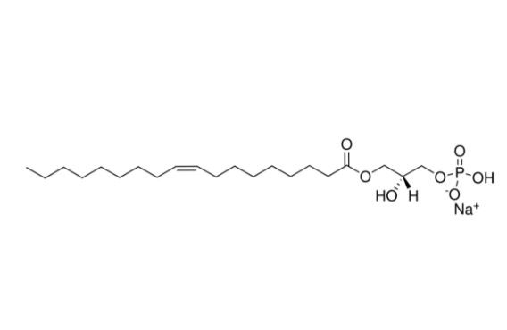 1-O-9Z-Octadecenoyl-sn-glyceryl-3-phosphoricacidsodiumsalt 325465-93-8